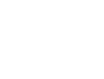 Squid X Media