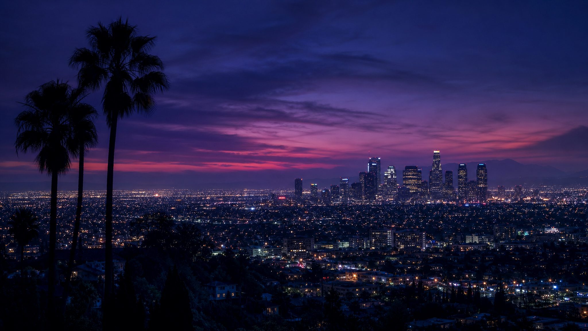 Los Angeles skyline at dusk for Squid X Media Los Angeles marketing agency services